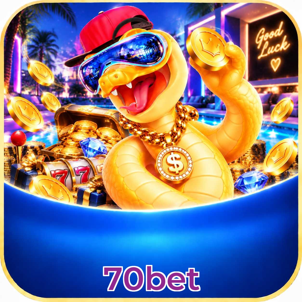 70bet Bet Odds Analysis